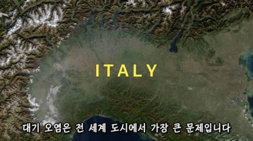 [스압] 도시에 나무를 더 많이 심어야 하는 이유