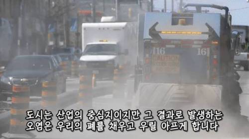 [스압] 도시에 나무를 더 많이 심어야 하는 이유