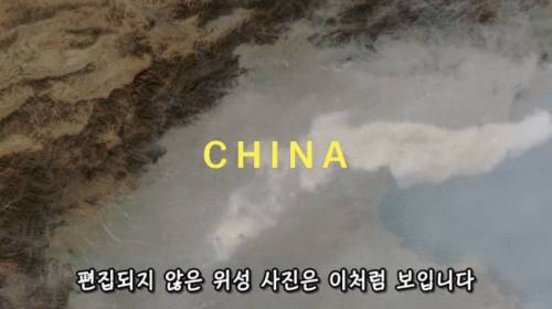 [스압] 도시에 나무를 더 많이 심어야 하는 이유