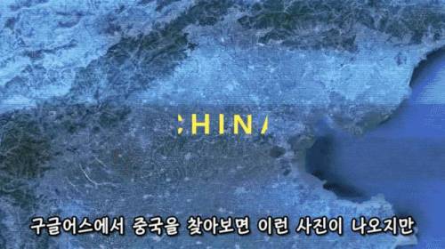 [스압] 도시에 나무를 더 많이 심어야 하는 이유