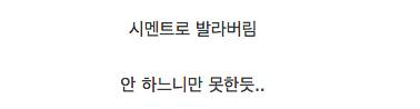 보수공사중인 만리장성 근황.jpg