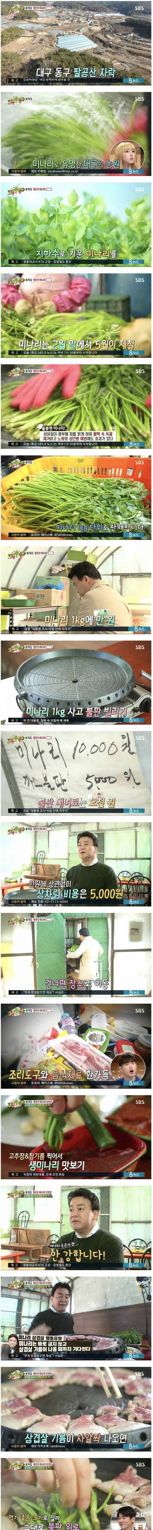 [스압] 백종원이 추천하는 삼겹살+미나리.jpg