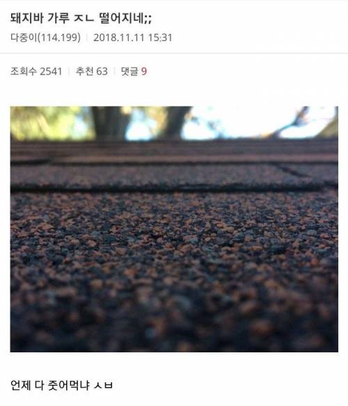 믿고 보는 허언증 갤러리.jpg