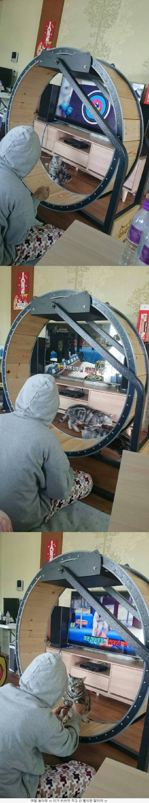 고양이용 놀이기구.jpg