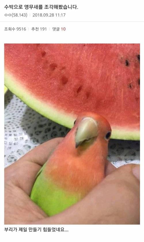 믿고 보는 허언증 갤러리.jpg