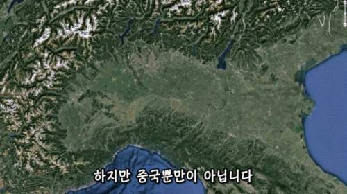 [스압] 도시에 나무를 더 많이 심어야 하는 이유