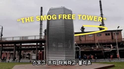 [스압] 도시에 나무를 더 많이 심어야 하는 이유