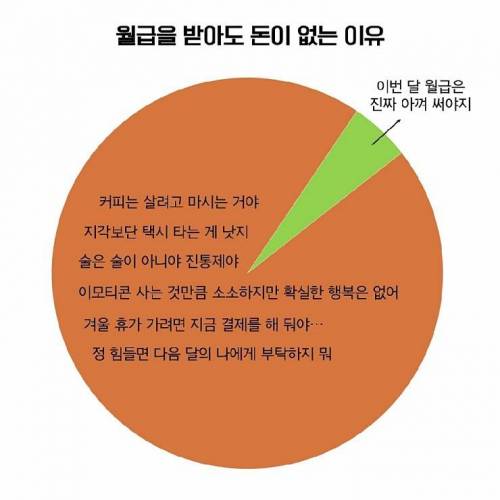 월급을 받아도 늘 부족한 이유.jpg