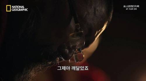 [스압] 히말라야 산맥에서 발견한 바다 생물의 흔적.jpg