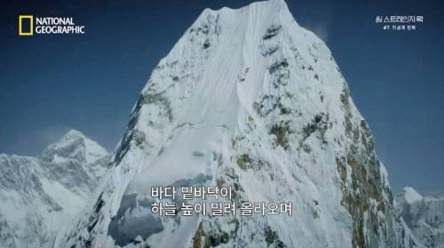 [스압] 히말라야 산맥에서 발견한 바다 생물의 흔적.jpg