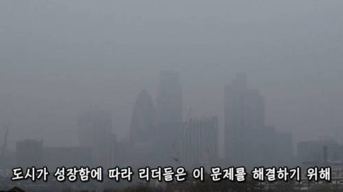 [스압] 도시에 나무를 더 많이 심어야 하는 이유