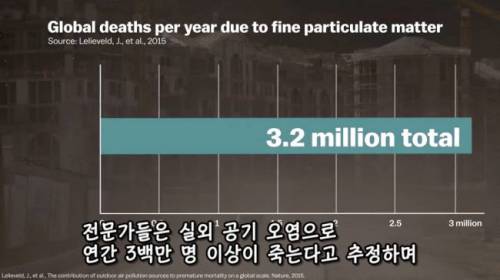 [스압] 도시에 나무를 더 많이 심어야 하는 이유
