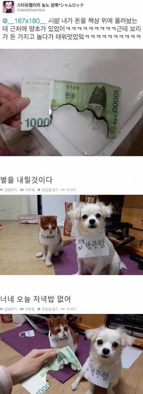 돈 가지고 놀다가 태워버림.jpg