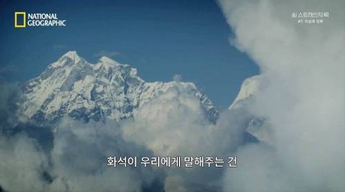 [스압] 히말라야 산맥에서 발견한 바다 생물의 흔적.jpg