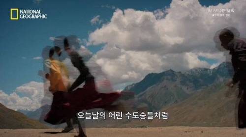 [스압] 히말라야 산맥에서 발견한 바다 생물의 흔적.jpg