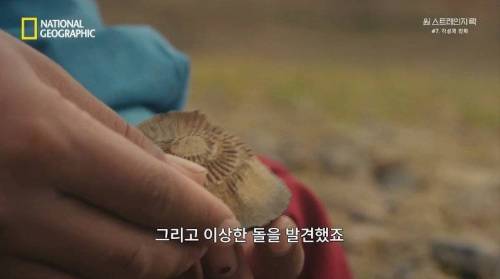 [스압] 히말라야 산맥에서 발견한 바다 생물의 흔적.jpg