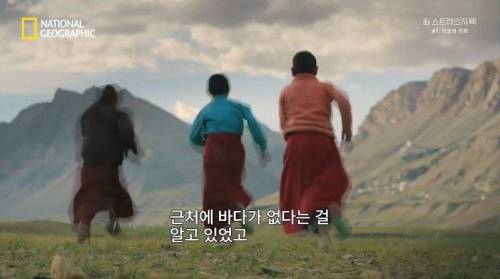 [스압] 히말라야 산맥에서 발견한 바다 생물의 흔적.jpg