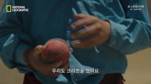 [스압] 히말라야 산맥에서 발견한 바다 생물의 흔적.jpg