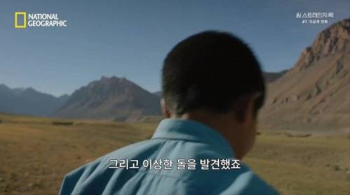 [스압] 히말라야 산맥에서 발견한 바다 생물의 흔적.jpg