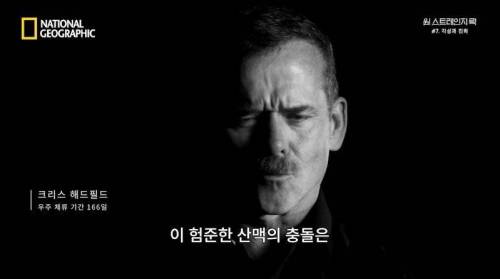 [스압] 히말라야 산맥에서 발견한 바다 생물의 흔적.jpg