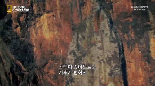[스압] 히말라야 산맥에서 발견한 바다 생물의 흔적.jpg