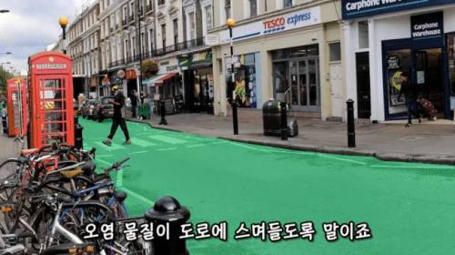 [스압] 도시에 나무를 더 많이 심어야 하는 이유