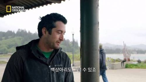 [스압] 맛있는 노란색 가설.jpg