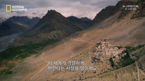 [스압] 히말라야 산맥에서 발견한 바다 생물의 흔적.jpg