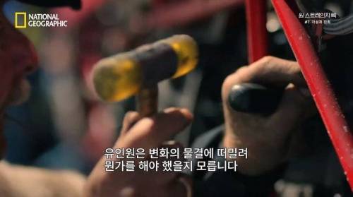 [스압] 히말라야 산맥에서 발견한 바다 생물의 흔적.jpg
