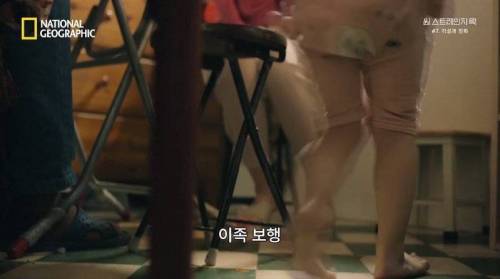 [스압] 히말라야 산맥에서 발견한 바다 생물의 흔적.jpg