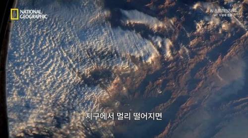 [스압] 히말라야 산맥에서 발견한 바다 생물의 흔적.jpg