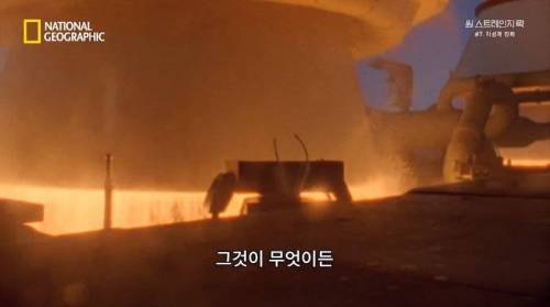 [스압] 히말라야 산맥에서 발견한 바다 생물의 흔적.jpg
