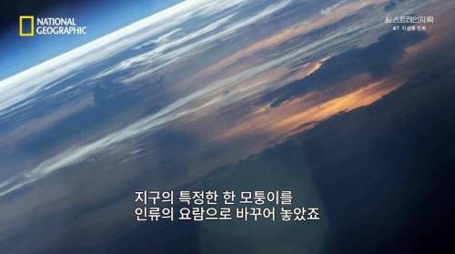 [스압] 히말라야 산맥에서 발견한 바다 생물의 흔적.jpg