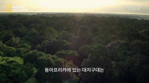 [스압] 히말라야 산맥에서 발견한 바다 생물의 흔적.jpg