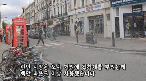 [스압] 도시에 나무를 더 많이 심어야 하는 이유
