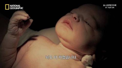 [스압] 히말라야 산맥에서 발견한 바다 생물의 흔적.jpg