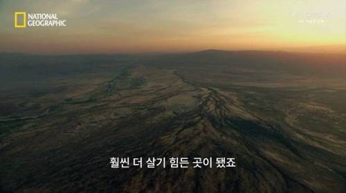 [스압] 히말라야 산맥에서 발견한 바다 생물의 흔적.jpg