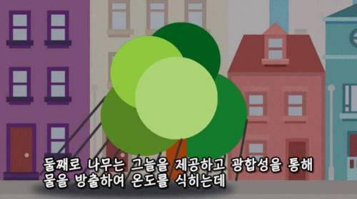 [스압] 도시에 나무를 더 많이 심어야 하는 이유