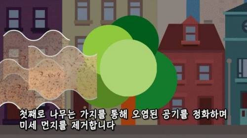 [스압] 도시에 나무를 더 많이 심어야 하는 이유