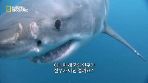 [스압] 맛있는 노란색 가설.jpg