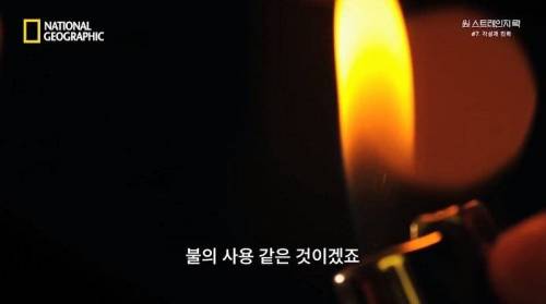 [스압] 히말라야 산맥에서 발견한 바다 생물의 흔적.jpg