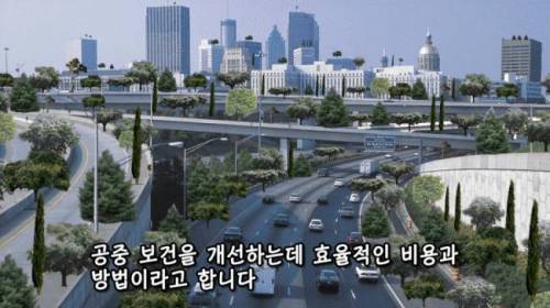 [스압] 도시에 나무를 더 많이 심어야 하는 이유
