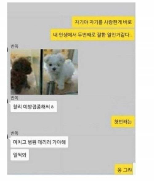 부부카톡 이상과 현실.jpg