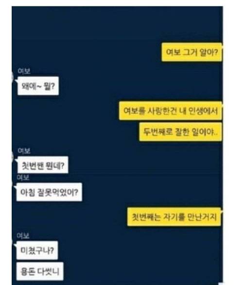 부부카톡 이상과 현실.jpg