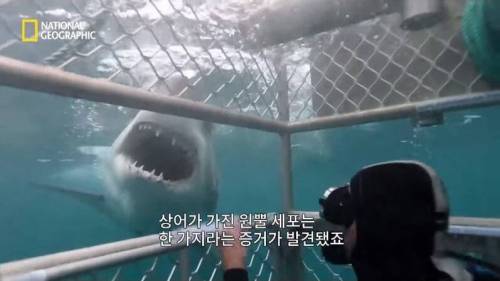 [스압] 맛있는 노란색 가설.jpg