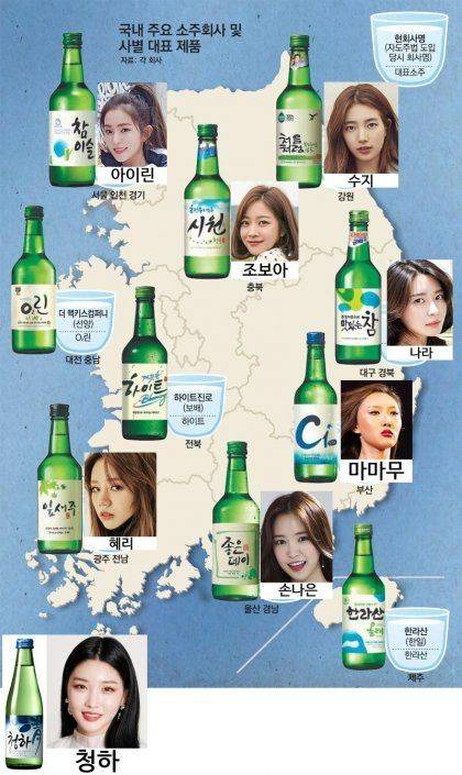 지역별 소주모델.jpg