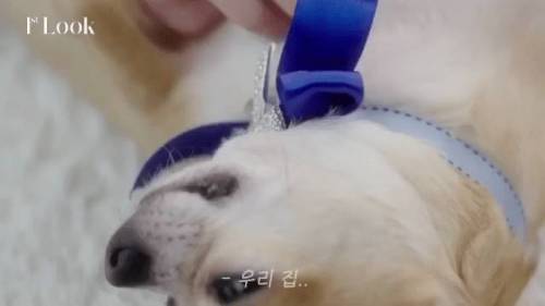 쥬얼리 모델이 된 장도연.jpg