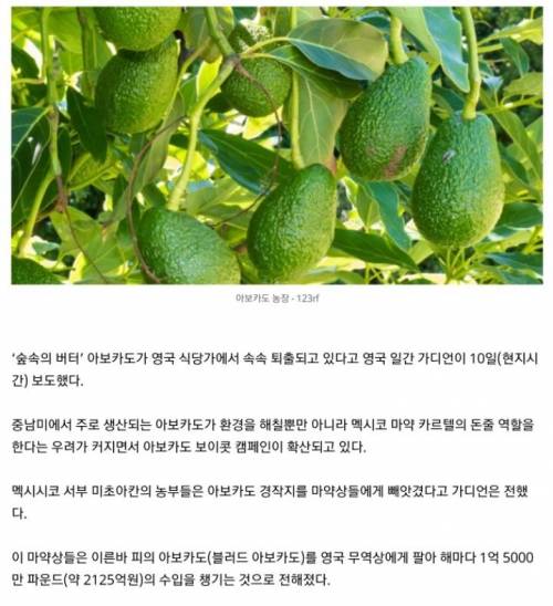 요즘 마피아,카르텔이 돈 버는 방법.jpg