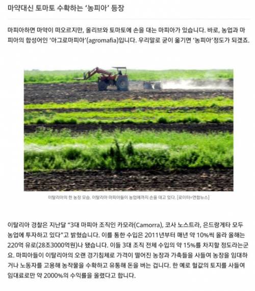 요즘 마피아,카르텔이 돈 버는 방법.jpg