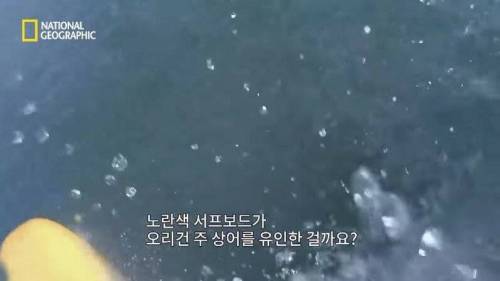 [스압] 맛있는 노란색 가설.jpg
